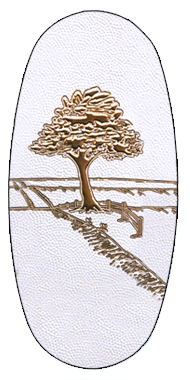 DASOV 001 BZ WT Journey Tree Bronze White